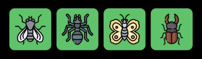 FLIES Daily Combo 16 July 2025